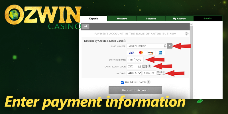Input the necessary payment information at Ozwin casino