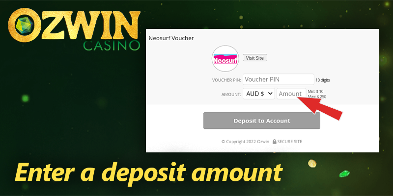 amount of the deposit in the payment section of the Ozwin casino