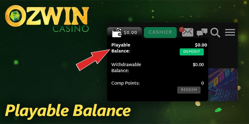 players' balance at Ozwin casino