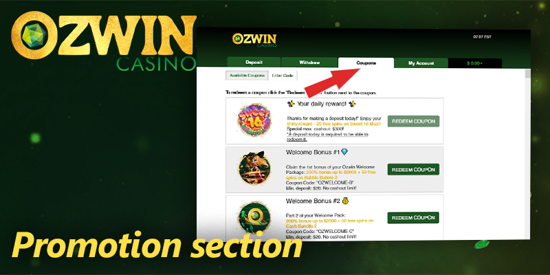 Promotion section at Ozwin casino - choose a bonuses